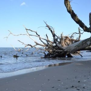 Meet your Posher, Joan